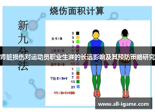 肾脏损伤对运动员职业生涯的长远影响及其预防策略研究