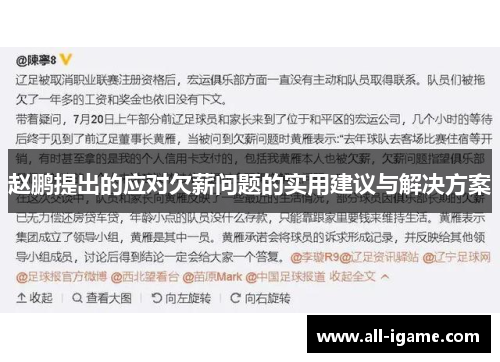 赵鹏提出的应对欠薪问题的实用建议与解决方案