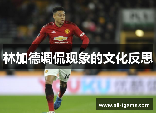 林加德调侃现象的文化反思