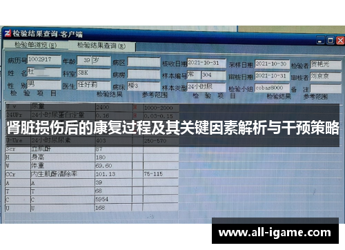 肾脏损伤后的康复过程及其关键因素解析与干预策略