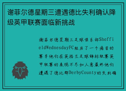谢菲尔德星期三遭遇德比失利确认降级英甲联赛面临新挑战
